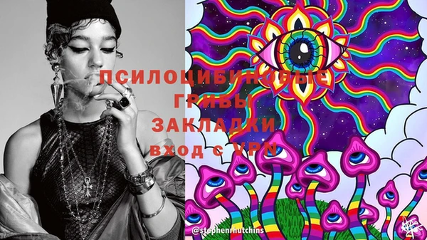 стаф Горнозаводск