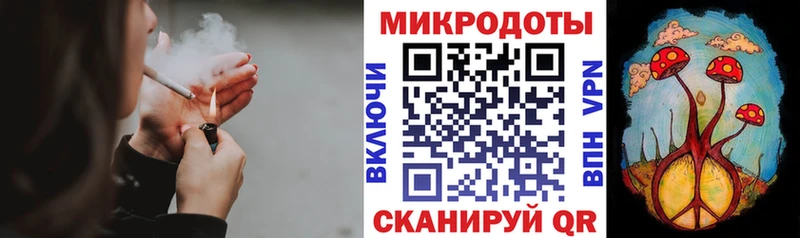Псилоцибиновые грибы Psilocybe  Купить где  Кологрив 